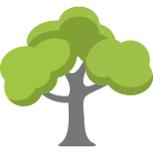 Chesterfield Tree Trimming
