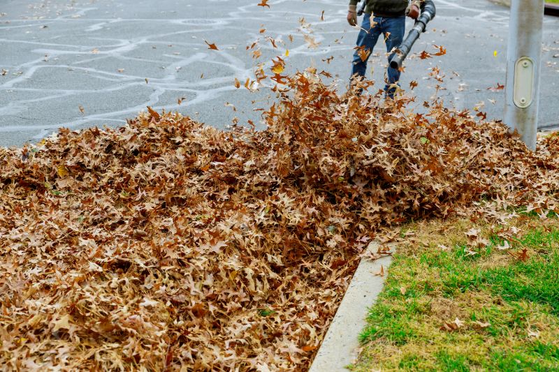 Leaf Removal in Progress