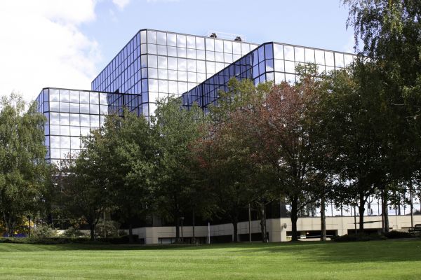Commercial Tree Trimming in Chesterfield